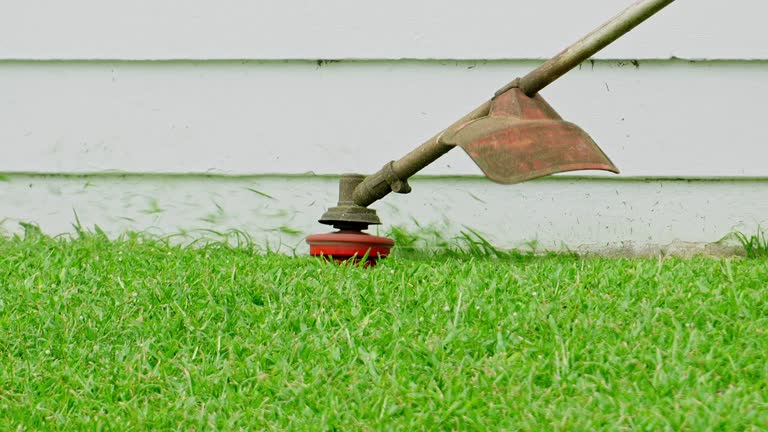 Grass Overseeding in Victorville, CA